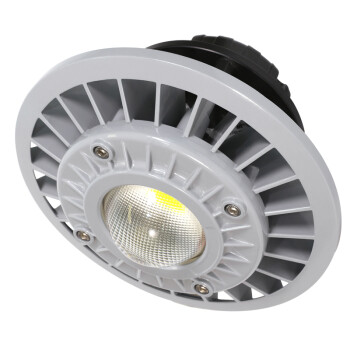 通明电器 TORMIN ZY8502-L200 LED高顶灯 厂房仓库检修库汽机房火车站照明灯具 200W 可定制