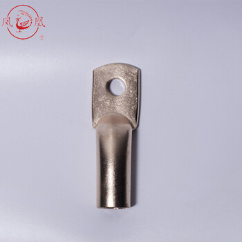 凤凰A级 紫铜铜鼻子电线电缆铜接头 DTG-300（A级）酸洗接线端子 1只