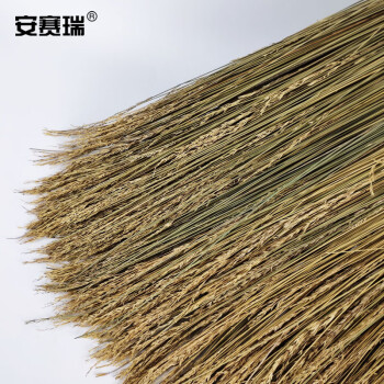 安赛瑞 龙须草扫把 物业环卫扫帚笤帚清洁工具 (5把装) 扫雪工具 车间地面清洁工具24193