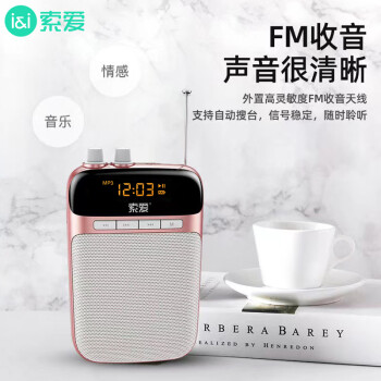 索爱（soaiy）S-518FM无线小蜜蜂扩音器教师专用麦克风喇叭导游蓝牙音箱音响U盘TF卡便携教学收音机 睿智黑