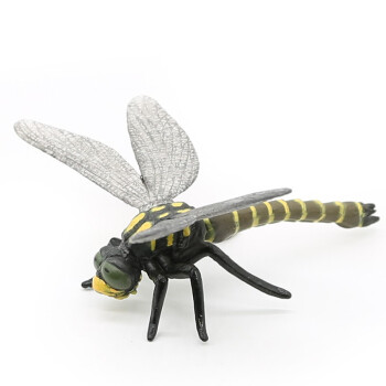级仿真实心昆虫系列野生动物系列仿真蝴蝶动物模型儿童玩具黄金环蜻蜓