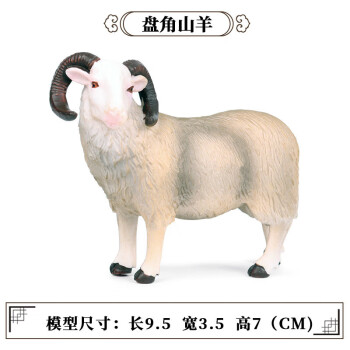 Oenux仿真羊玩具羊驼骆驼玩偶儿童模型摆件实心手办公仔绵山羚羊工艺品 M-431盘角山羊