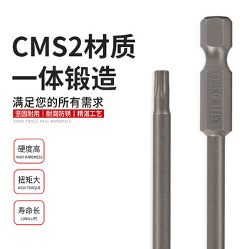 罗宾汉（RUBICON）工业星型风批嘴GW-T10 星型带孔电动螺丝起子头气动批咀T10x75mm十支