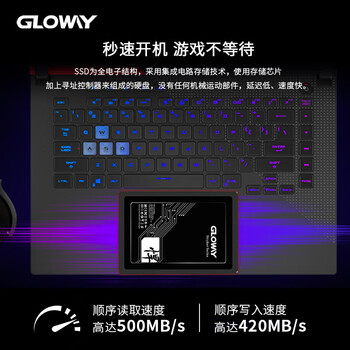 光威（Gloway）256GB SSD固态硬盘 SATA3.0接口 悍将系列