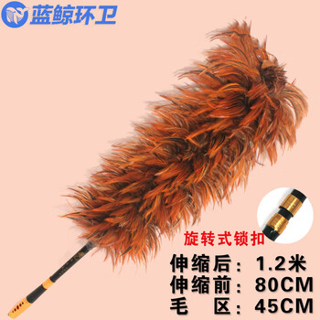 蓝鲸环卫【尖毛65cm】手工可伸缩鸡毛掸子LJHW-9222
