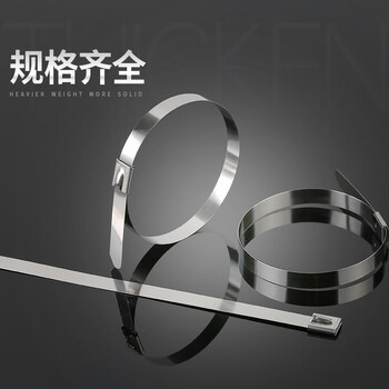 飞尔（FLYER）201不锈钢扎带 白钢滚珠自锁式金属箍扎带 100根/包【10×300MM】