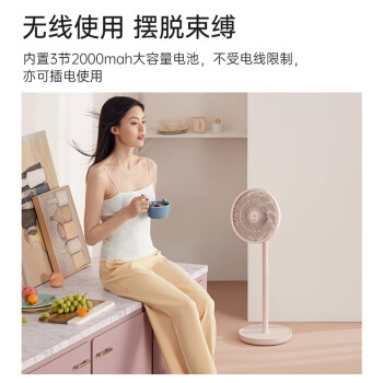 爱登 E909对比澳柯玛FS-35D909(Y)电风扇哪个好用，哪个好用？插图5