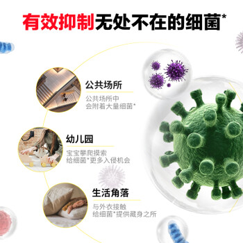 威露士 个人清洁 清香型健康呵护泡沫洗手液 两支装 225ml*2瓶