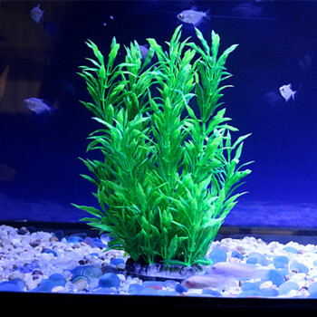 鱼缸装饰 仿真水草 水族造景假水草装饰 柔软水草 塑料水草绿色 小号
