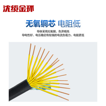 沈缆金环 ZR-KVV22-450/750V-16*1.5mm² 国标阻燃铜芯铠装控制电缆 1米