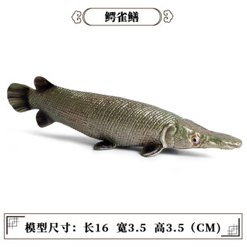 Oenux玩具鱼认物儿童假鱼仿真海洋淡水鱼模型动物三文食人金枪咸鱼水母 M-1151鳄雀鳝
