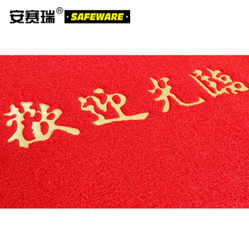 安赛瑞 丝圈迎宾地垫 地毯垫门垫除尘脚垫室外酒店门口  1×1m 定制款 26575