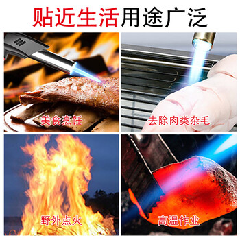 尼奥动力 喷火枪 自动点火器 气罐喷火枪 便携式气罐烧烤工具 喷火器高温焊枪烧猪毛喷枪 WS509C