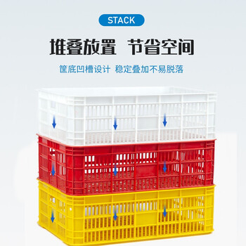 苏彩塑料筐周转筐蓝色加厚水果蔬菜收纳篮快递物流中转运输镂空塑胶框子畜牧工业杂物整理筐SCLK-598