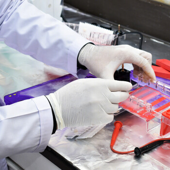 爱马斯一次性乳胶橡胶手套无菌灭菌独立包装牙科实验白色TLFCSIP