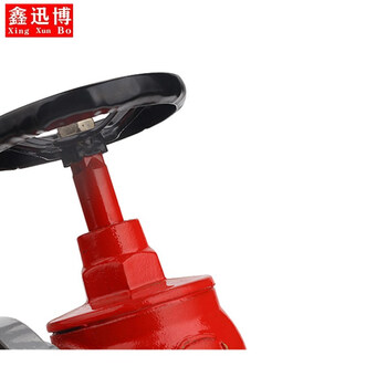 鑫迅博  室内消火栓消防阀门水带接口消防器材SN65消防栓