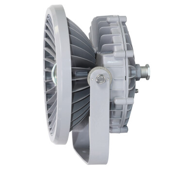 通明电器 TORMIN BC9700-L200-100  大功率LED防爆灯 厂房车间仓库罐区煤棚抗振投光灯具 200W 可定制