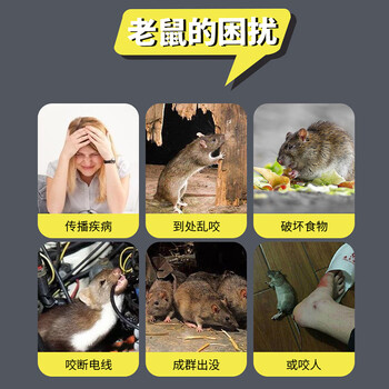 KOOGIS老鼠贴占粘鼠板大号超强力捕捉器沾捕鼠神器家用全自动灭鼠一窝端
