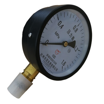 联塑（LESSO）ZSPM-Y100 末端试水装置压力表Y100（1.6MPa1.6级）