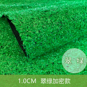 百舸 仿真草坪垫子假草绿色人造草坪塑料假草幼儿园户外假草皮装饰地毯 1平方翠绿加密款
