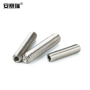 安赛瑞 不锈钢内六角凹端紧定螺丝 304不锈钢止付螺丝 无头螺丝 机米螺丝 M5×25mm（300个装） 23075