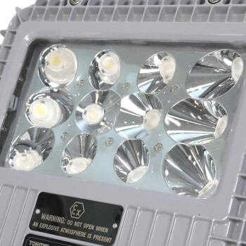 通明电器 TORMIN BC9101A-L40-25  LED防爆泛光灯 厂房仓库车间加油站照明灯具 照明40W+应急25W 可定制