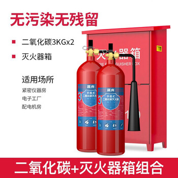 蓝炎 二氧化碳灭火器 机房精密仪器气体手提式3公斤干冰灭火器2具装箱子组合 消防器材 MT/3