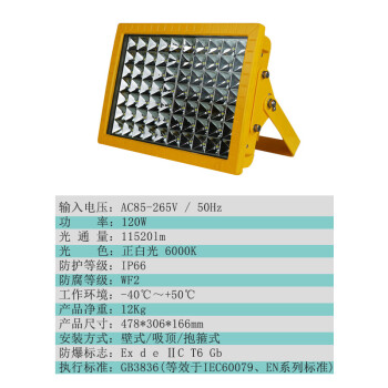 依客思（EKSFB）LED防爆投光灯 EKS97 120W 白光（壁式/吸顶式/抱箍式）