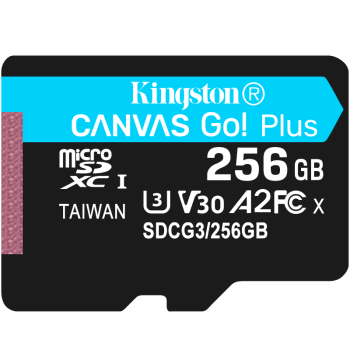 金士顿（Kingston）256GB U3 V30 A2 4K switch内存卡 TF(Micro SD)存储卡 读速 170MB/s 写速90MB/s