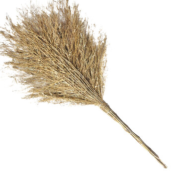 益美得 竹柄大扫把院子户外环卫大号笤帚街道马路公园清扫落叶除雪 竹枝连体3.5斤