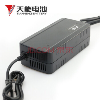 天能铅酸电池充电器 电动三轮车两轮车电瓶充电器 48V60V72V T型 60v32Ah  /T型