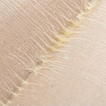 康丽雅 K-2268 粘蝇板 粘蝇纸粘苍蝇板苍蝇贴 捕蝇工具 100张装