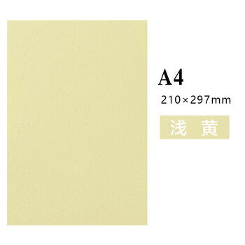 飞尔（FLYER）凹凸皮纹纸 压纹纸 云彩纸 封皮纸 彩色卡纸【230克 A4 浅黄100张】