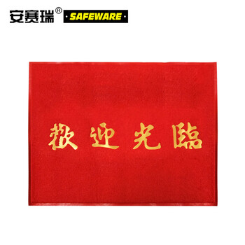 安赛瑞 丝圈迎宾地垫 地毯垫门垫除尘脚垫室外酒店门口  1×1m 定制款 26575