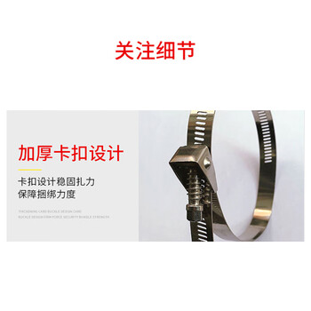 飞尔（FLYER）304不锈钢扎带 加厚活扣扎带 自锁式扎带 可拆卸捆绑带 100根/包【14宽×1300mm】