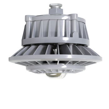通明电器 TORMIN ZY8607P-L50-100 LED照明灯 厂房仓库车间工矿灯泛光灯三防灯具 光束角100度50W