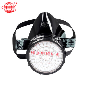 地球 2001 3号防毒面罩经济型自吸过滤式防毒面具 黑