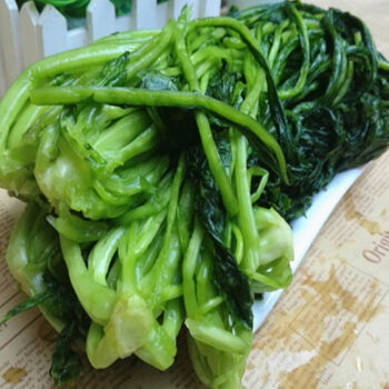 绿雪菜东台咸菜绿雪里红绿色雪里蕻新鲜腌制下饭菜酱菜3斤绿色雪里红