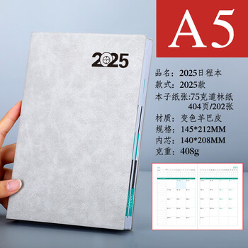 朗捷（longe）365天日程本每日计划本效率手册2025年日历记事本蛇年年历本笔记本本子定制 灰色（2025年单本）