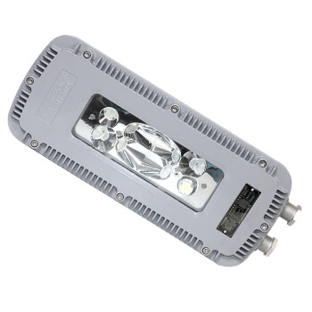 通明电器 TORMIN DGS48/127L(A) 矿用隔爆型LED巷道灯 煤矿井下照明灯具 48W 可定制