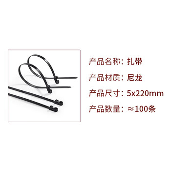 飞尔（FLYER）尼龙固定头扎带 螺丝圆孔固定头式束线带【5×220mm 100条】