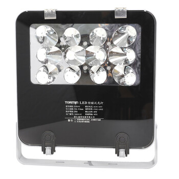 通明电器 TORMIN ZY8101A-L50-25 LED防眩泛光灯 厂房车间仓库工业灯具 照明50W+应急25W 可定制
