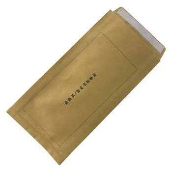 飞尔（FLYER）污损币袋 损币专用袋子 残缺污损币包装袋 202×92mm 500个
