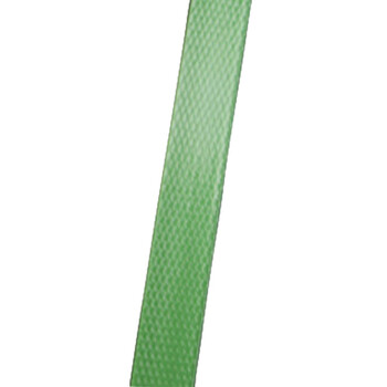 飞尔（FLYER）塑钢打包带 塑料包装带 手工绿色塑钢带 一卷【WST114】