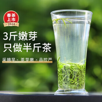 乐品乐茶绿茶毛尖茶叶特级250g  2024新茶明前春茶嫩芽自己喝礼盒装