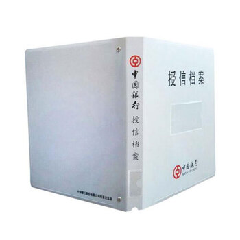 飞尔（FLYER）中行定制 授信档案盒 信贷档案夹资料册三孔活页册 背宽4厘米 310×263mm 10个装 企业定制