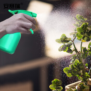 安赛瑞 园艺喷水壶 浇花壶手动气压喷雾壶 工具便携式洒水壶浇花喷雾器 260ML 25006