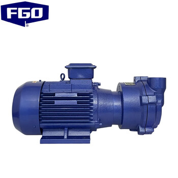 FGO 水环式真空泵 丝扣螺纹 普通电机2BV-2071铸铁整机+不锈钢叶轮3.85kw-2