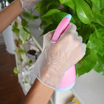 塞莫诗一次性PVC手套 防水防油 100只/盒 紫色VM901TP 中号M码