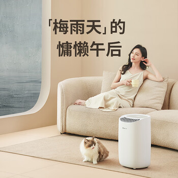 德业（Deye）除湿机/抽湿机 除湿量12升/天 家用轻音地下室干衣机除湿器 母婴萌宠 银离子抗菌DYD-B12A3
